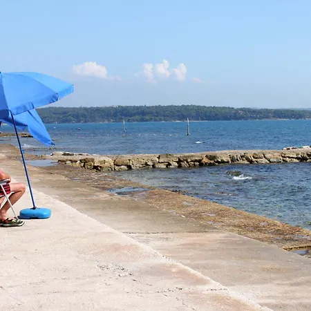 Apartment Novigrad 6951b *